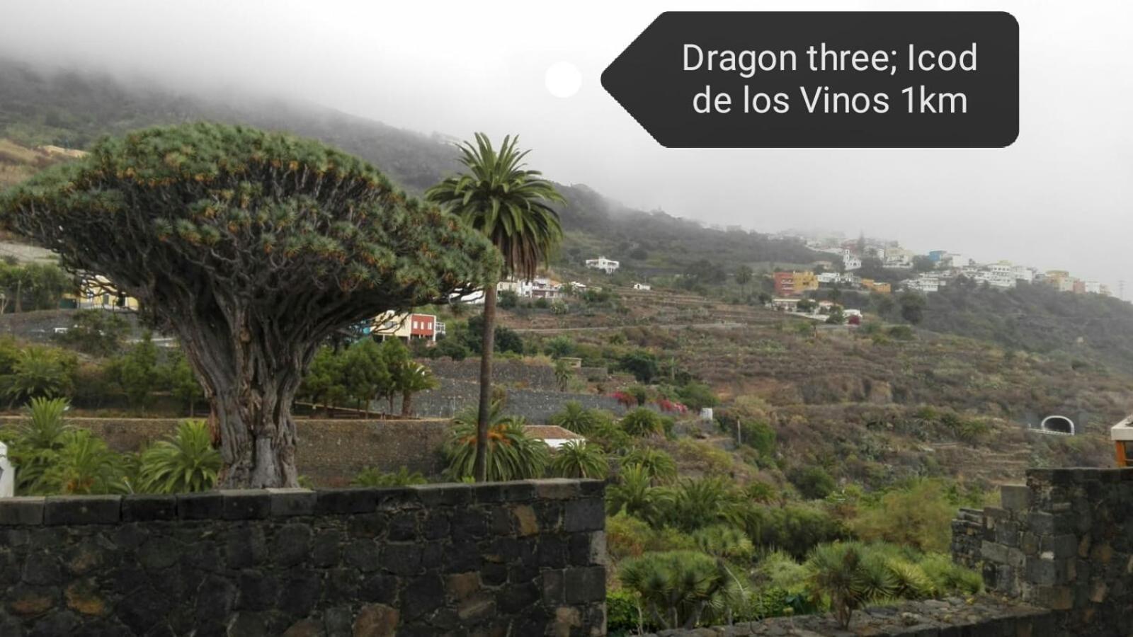 Los Geranios n.25 Icod De Los Vinos Exterior foto